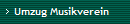 Umzug Musikverein