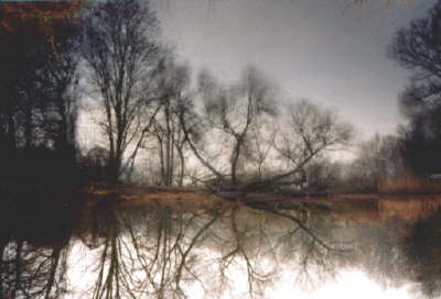 Altneuloch