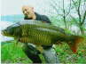 Werner Mohr
